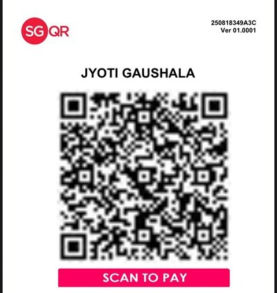 Singapore QR Code